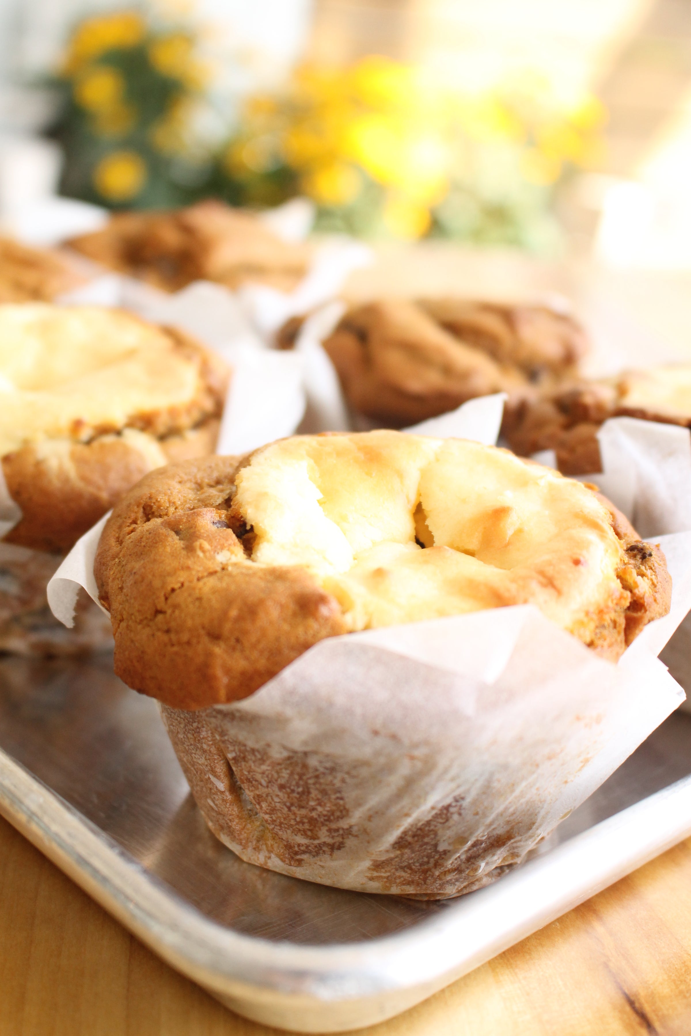 Pumpkin Cheesecake Muffin Taste Coffee and Bakery - Main Image